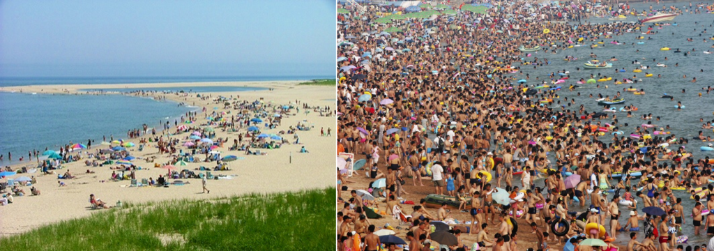 Beach Compare